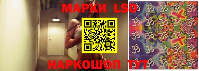 дживик Владимир