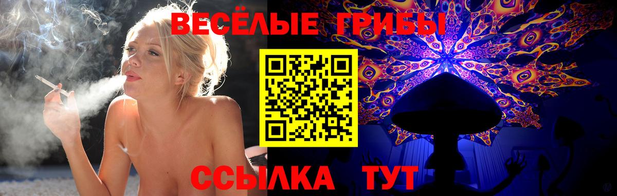 Верхний Уфалей  Галлюциногенные грибы Psilocybine cubensis  Вход с VPN  Галлюциногенные грибы Psilocybe 
